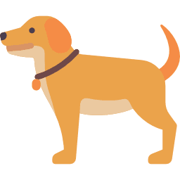 Dogs
