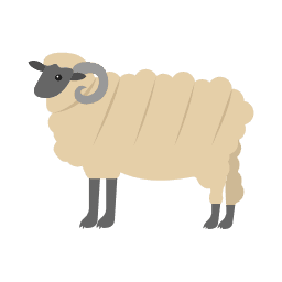 Sheep
