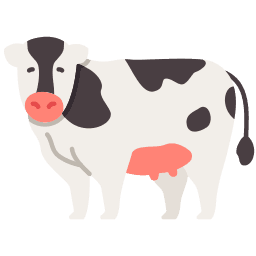 Cows