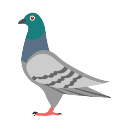 Pigeons