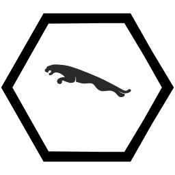 XF